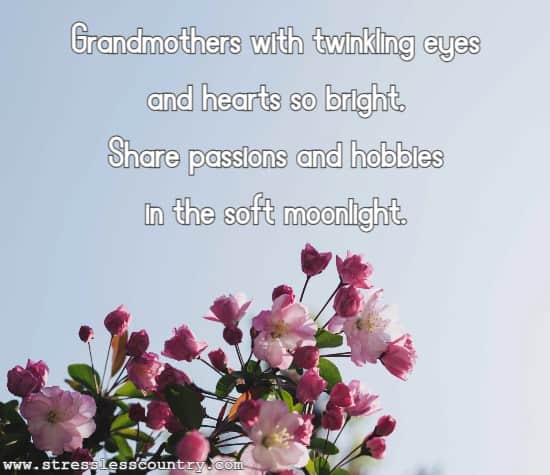 Grandmothers with twinkling eyes and hearts so bright, Share passions and hobbies in the soft moonlight.
