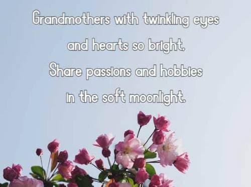 Grandmothers with twinkling eyes and hearts so bright, Share passions and hobbies in the soft moonlight.
