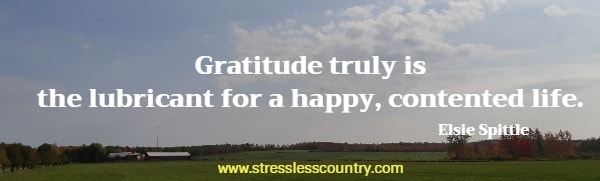 Gratitude truly is the lubricant for a happy, contented life.