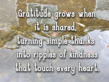 Gratitude grows when it is shared, turning simple thanks into ripples of kindness that touch every heart.