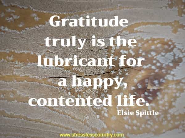 Gratitude truly is the lubricant for a happy, contented life.