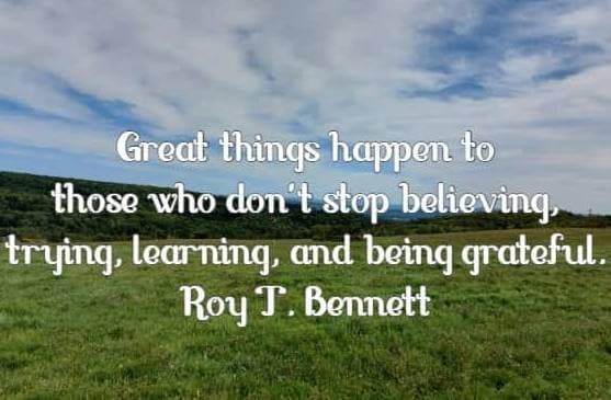 great things happen to those who don't stop believing, trying, learning, and being grateful