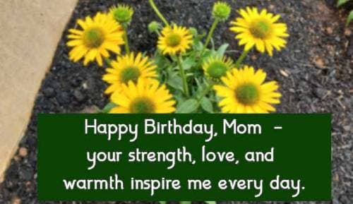 Happy Birthday, Mom  - your strength, love, and warmth inspire me every day