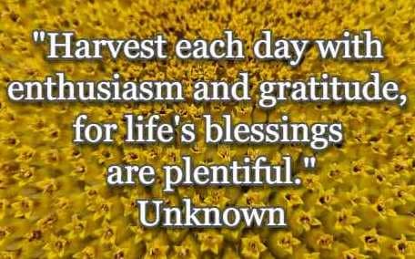 Harvest each day with enthusiasm and gratitude, for life's blessings are plentiful