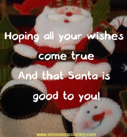 Hoping all your wishes come true And that Santa is good to you!