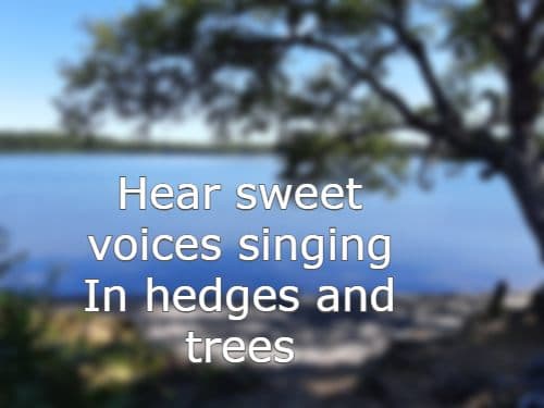  Hear sweet voices singing In hedges and trees