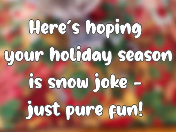 Here’s hoping your holiday season is snow joke - just pure fun!