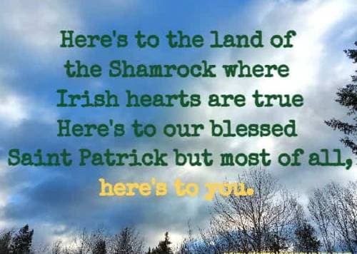 Here's to the land of the Shamrock where Irish hearts are true Here's to our blessed Saint Patrick but most of all, here's to you