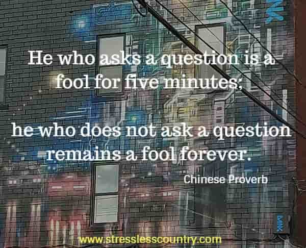 He who asks a question is a fool for five minutes; he who does not ask a question remains a fool forever