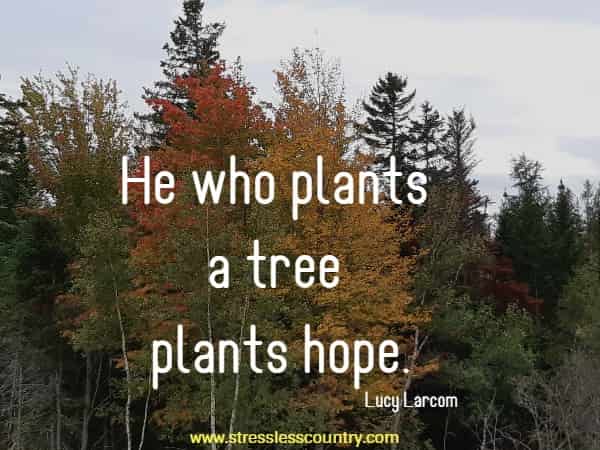 He who plants a tree plants hope