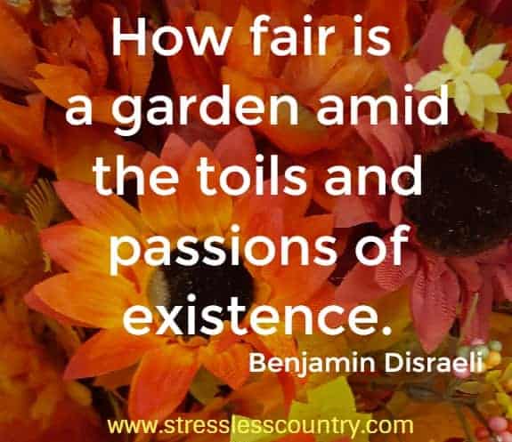 How fair is a garden amid
the toils and passions of existence.
Benjamin Disraeli