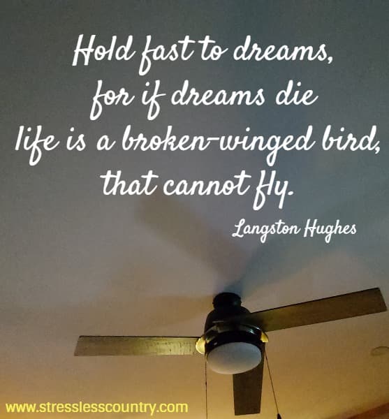 Hold fast to dreams, for if dreams die life is a broken-winged bird, that cannot fly.