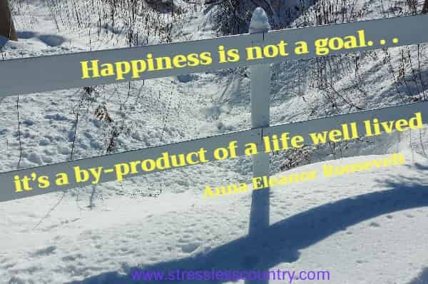 Happiness is not a goal. . .it’s a by-product of a life well lived.
