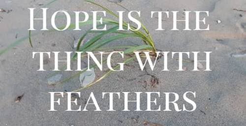 hope is the thing with feathers