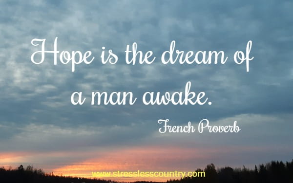 Hope is the dream of a man awake.