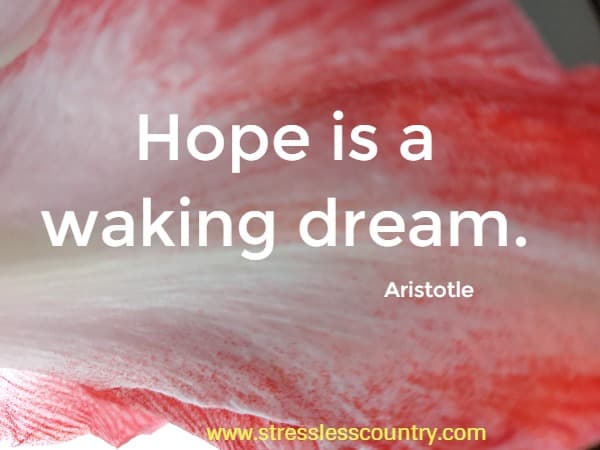 Hope is a waking dream.