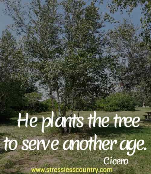 He plants the tree to serve another age.