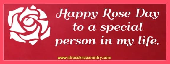 Happy Rose Day to a special person in my life