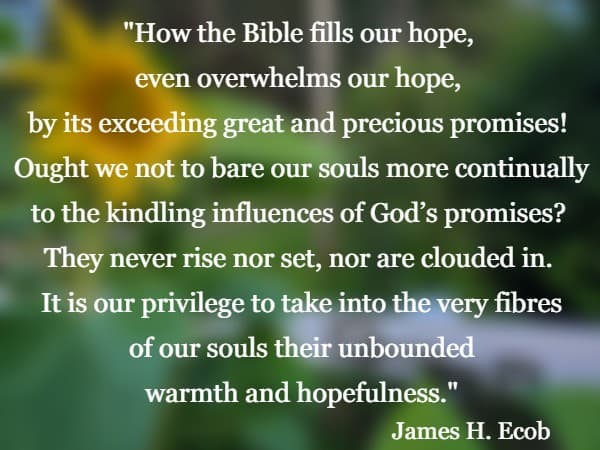 How the Bible fills our hope, even overwhelms our hope, by its exceeding great and precious promises! Ought we not to bare our souls more continually to
  the kindling influences of God’s promises? They never rise nor set, nor are clouded in.  It is our privilege to take into the very fibres of our souls their unbounded 
  warmth and hopefulness. James H. Ecob
