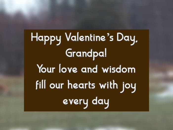 Happy Valentine’s Day, Grandpa! Your love and wisdom fill our hearts with joy every day.