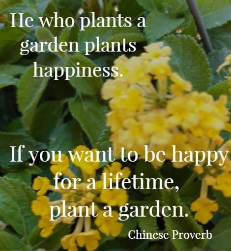 He who plants a garden plants happiness. If you want to be happy for a lifetime, plant a garden. Chinese Proverb