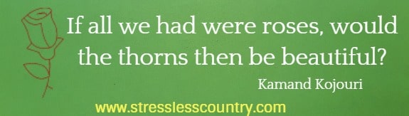 If all we had were roses, would the thorns then be beautiful?