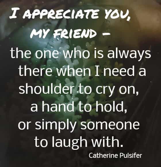 	 I appreciate you, my friend - the one  who is  always there when I need a shoulder to cry on, a hand to hold, or simply someone to laugh with.