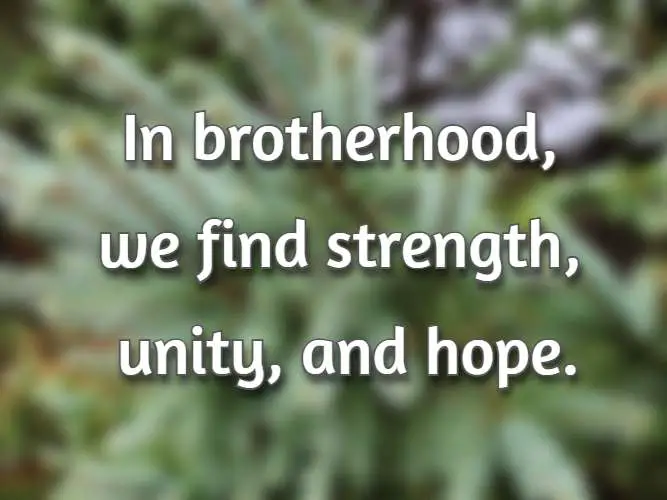 In brotherhood, we find strength, unity, and hope.