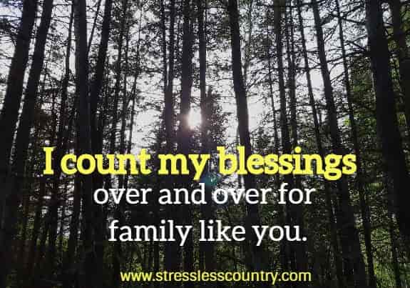 I count my blessings over and over for family like you.