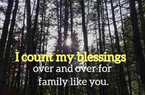 I count my blessings over and over for family like you