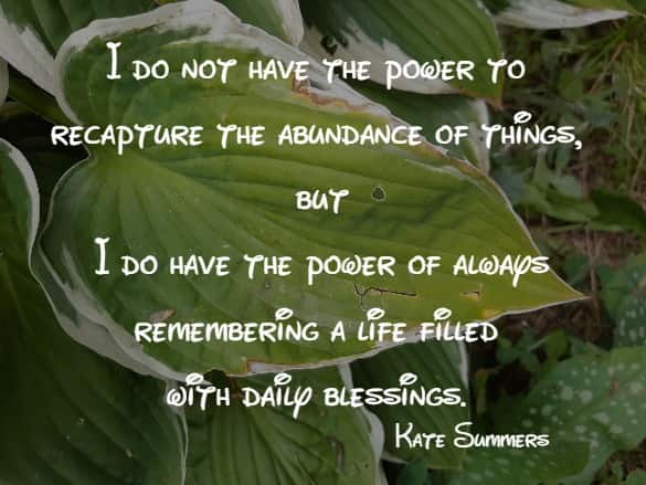 I do not have the power to recapture the abundance of things...