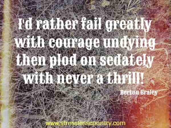 I'd rather fail greatly with courage undying then plod on sedately with never a thrill!