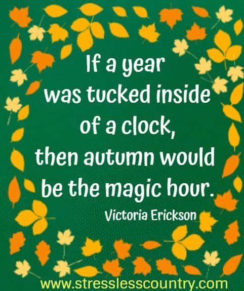 if a year was tucked inside of a clock, then autumn would be the magic hour
