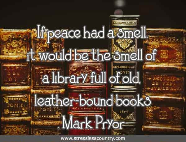 If peace had a smell, it would be the smell of a library full of old, leather-bound books.