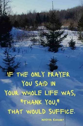 If the only prayer you said in your whole life was, thank you, that would suffice.