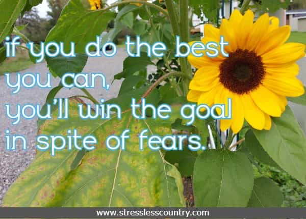  if you do the best you can, you'll win the goal in spite of fears. 