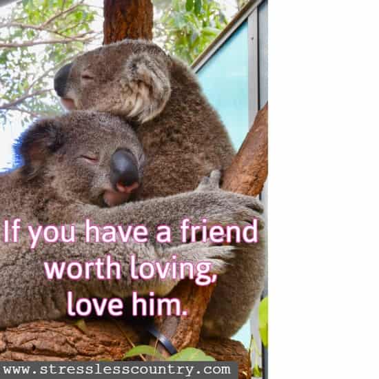  If you have a friend worth loving, love him.