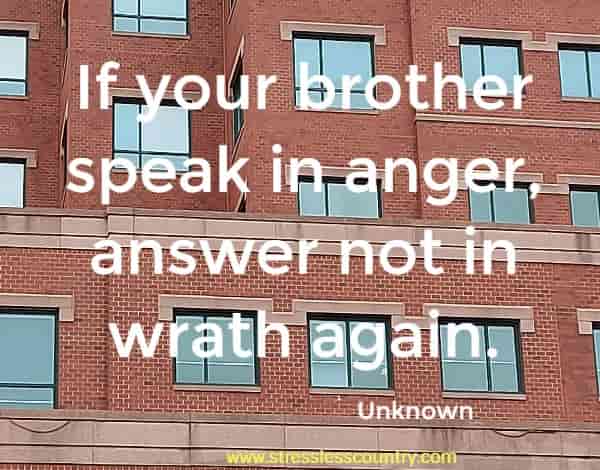 If your brother speak in anger, answer not in wrath again.