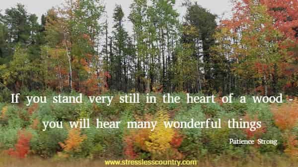 If you stand very still in the heart of a wood - you will hear many wonderful things