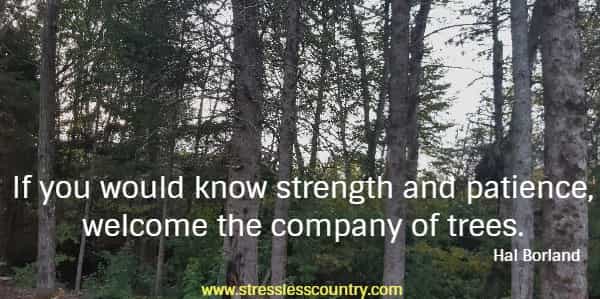 If you would know strength and patience, welcome the company of trees.