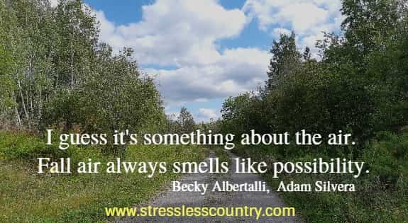I guess it's something about the air. Fall air always smells like possibility.