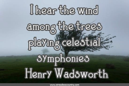 I hear the wind among the trees playing celestial symphonies