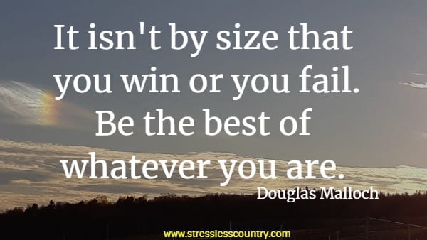 It isn't by size that you win or you fail. Be the best of whatever you are.