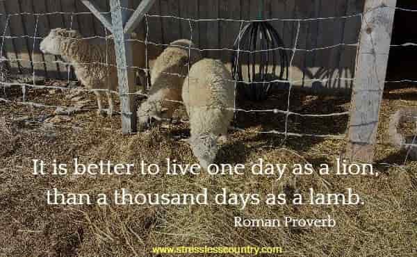  It is better to live one day as a lion, than a thousand days as a lamb.