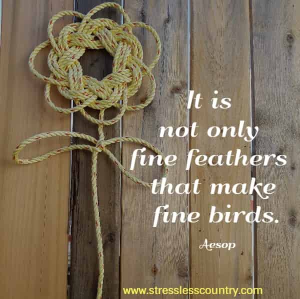 It is not only fine feathers that make fine birds.