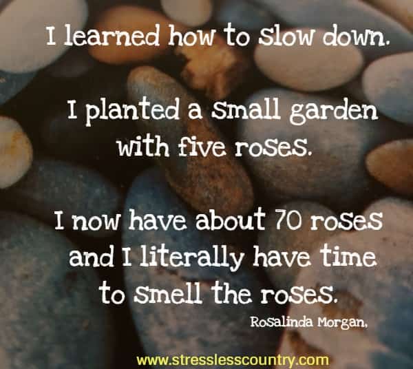 I learned how to slow down. I planted a small garden with five roses. I now have about 70 roses and I literally have time to smell the roses.