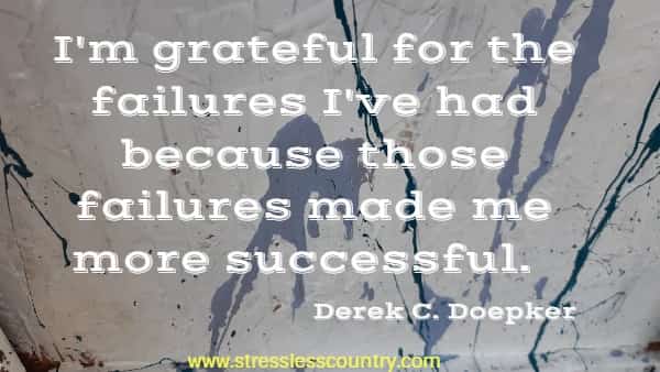  I'm grateful for the failures I've had because those failures made me more successful.