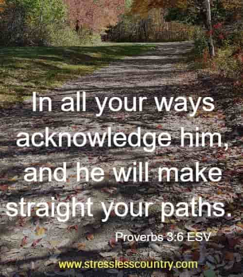 In all your ways acknowledge him, and he will make straight your paths. Proverbs 3:6