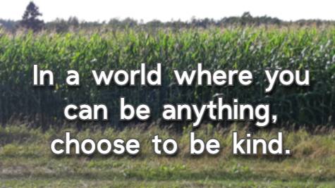 In a world where you can be anything, choose to be kind.