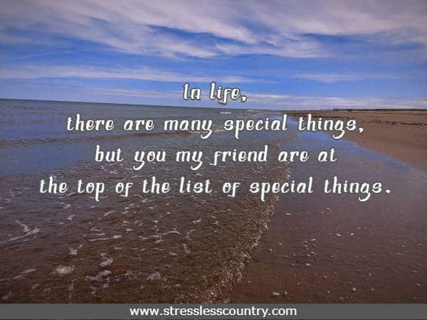in life, there are many special things, but you my friend are at the top of the list of special things